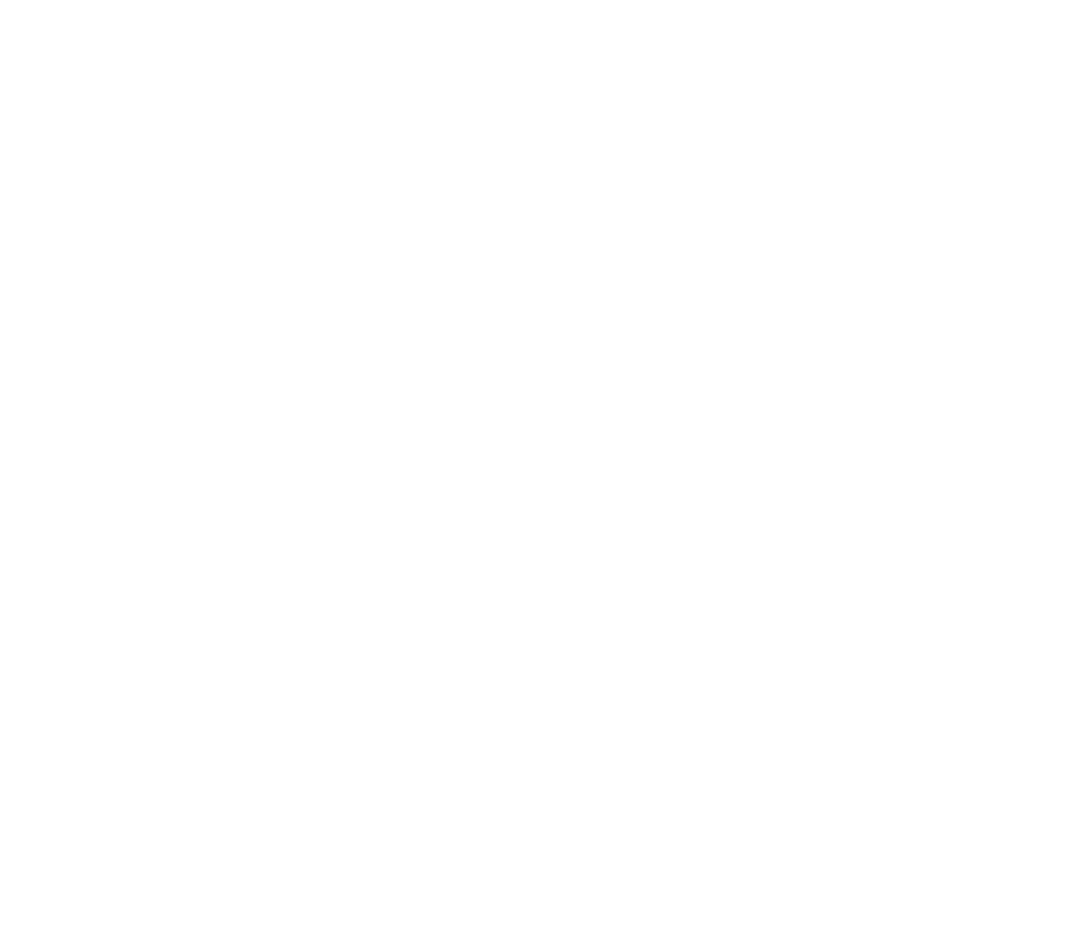 Women's EHF Euro - Tageskarten sind jetzt verfügbar